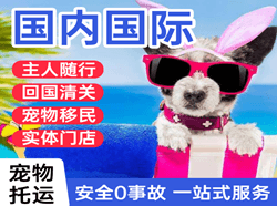 浦东空运国际宠物托运 【国